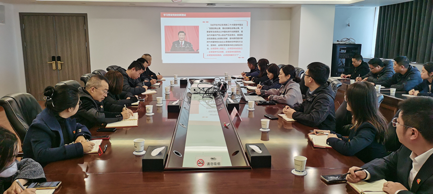 集團(tuán)黨委委員、副總經(jīng)理賀維維同志講授專題黨課
